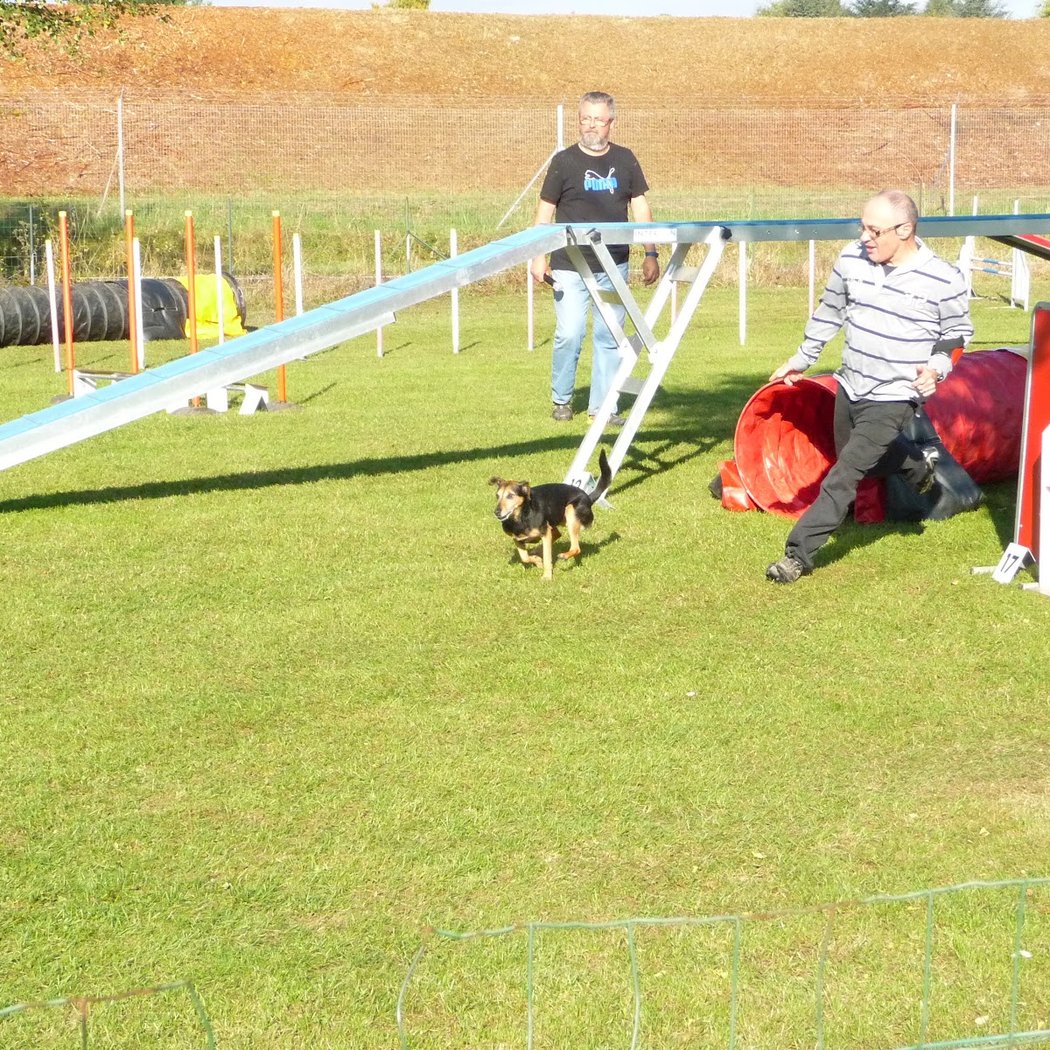Bièvre Valley Kennel Club 3